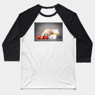 Labrador retriever puppy Baseball T-Shirt